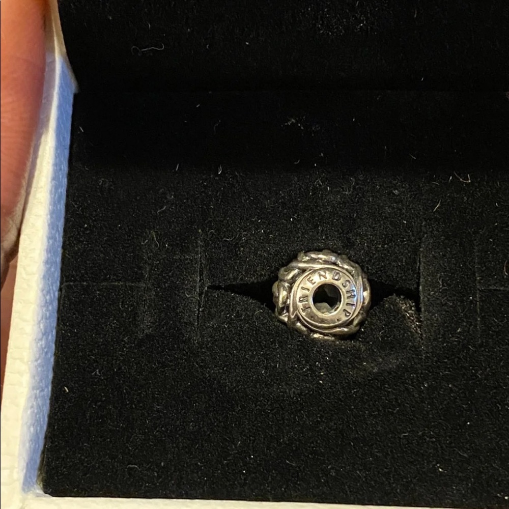 Pandora Friendship Charm